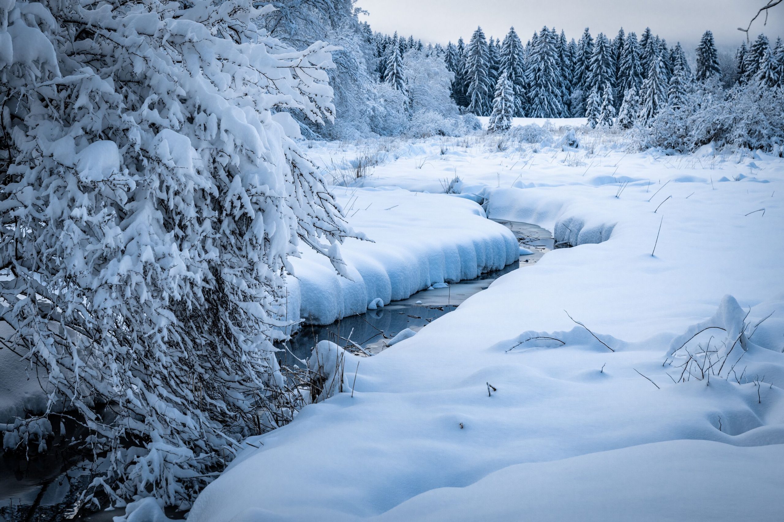 Web_Version-Wintershooting_in_Freidorf__Allgaeu_GmbH__Erika_Duerr-1