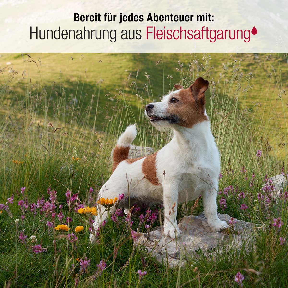 Webbanner_1200x1200_hotel_02