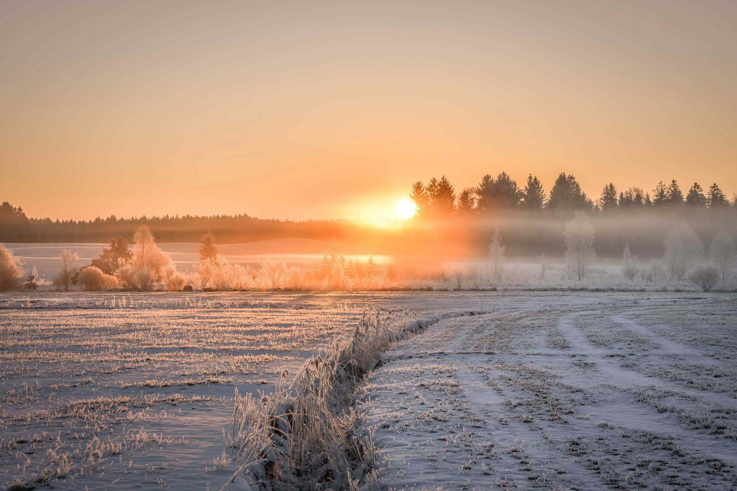 Ringhotel-Sonneck-Bad-Wörrishofen-Für-Bild-3-Winterwiese