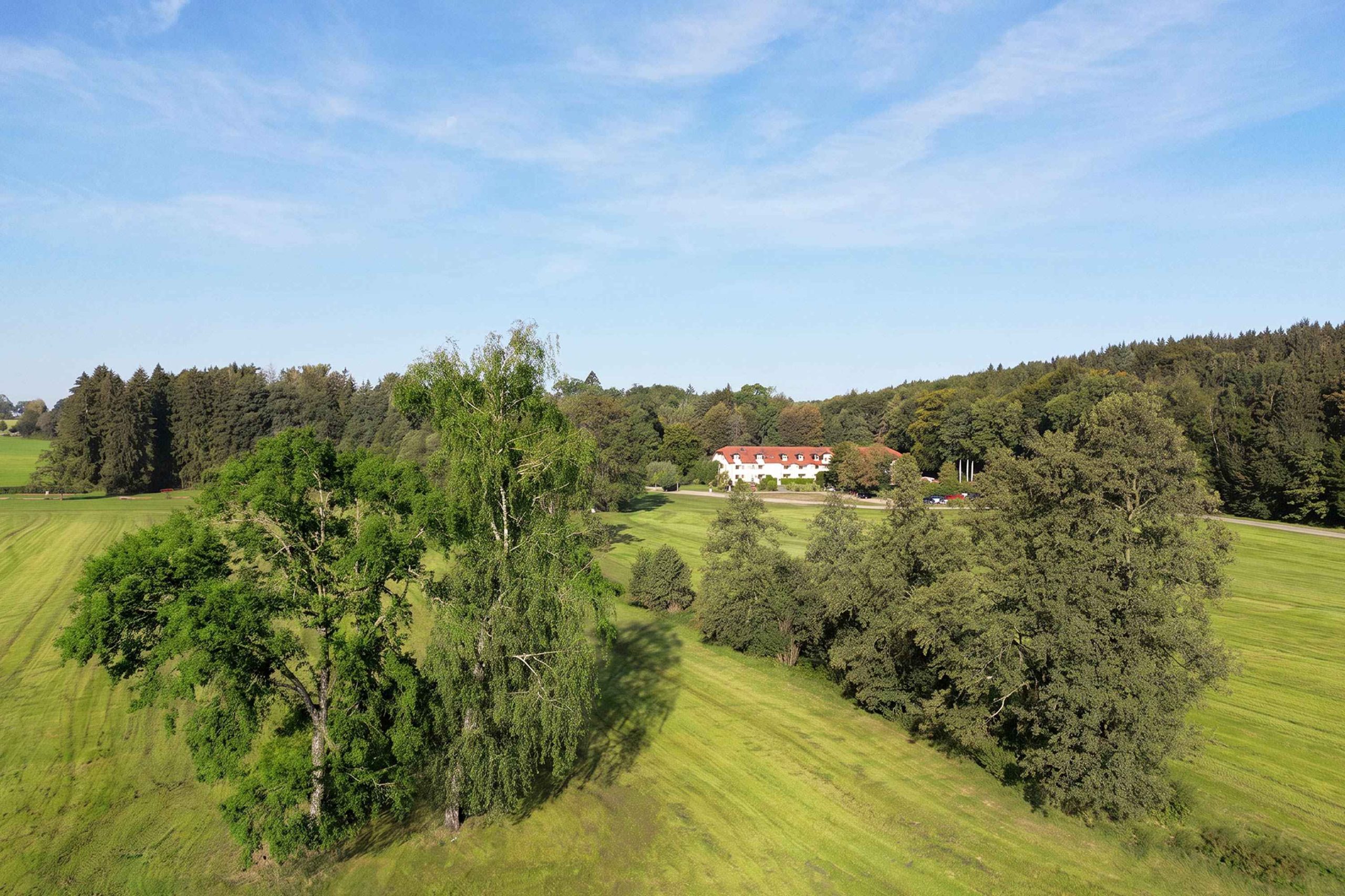6-Wald-&-Wiesen